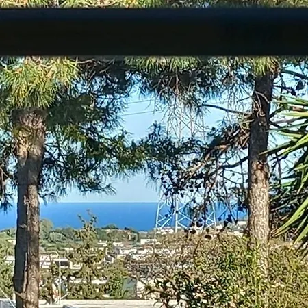 Margerita
