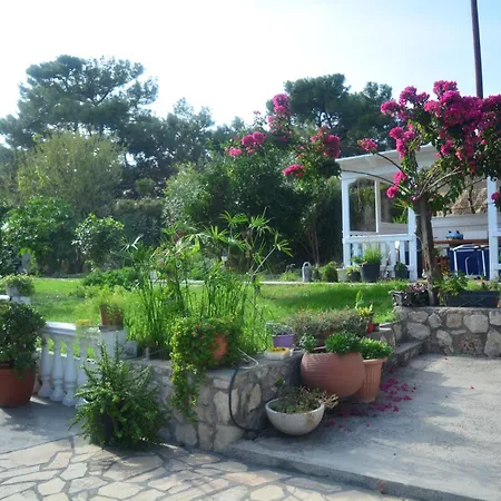 Margerita