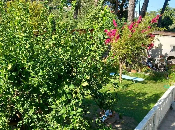 Margerita Διαμέρισμα